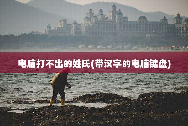 电脑打不出的姓氏(带汉字的电脑键盘)