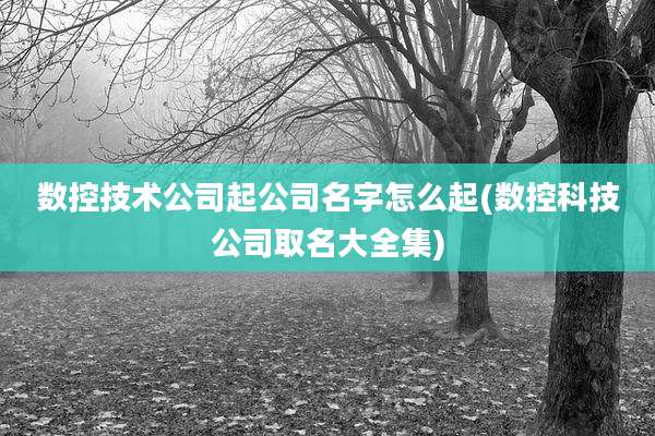 数控技术公司起公司名字怎么起(数控科技公司取名大全集)