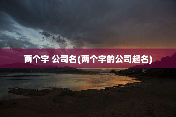 两个字 公司名(两个字的公司起名)