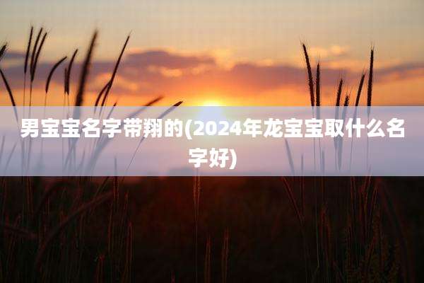 男宝宝名字带翔的(2024年龙宝宝取什么名字好)