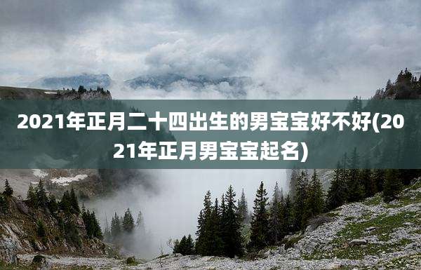 2021年正月二十四出生的男宝宝好不好(2021年正月男宝宝起名)