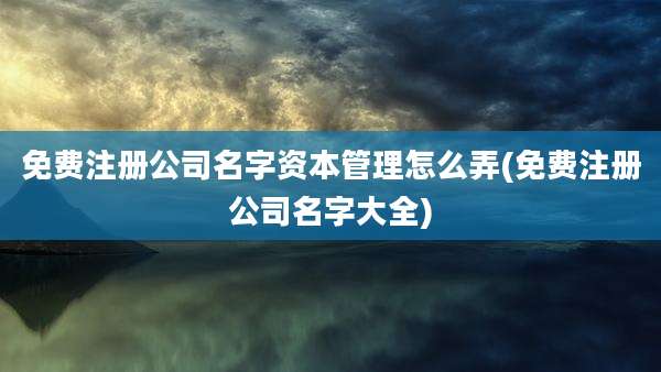 免费注册公司名字资本管理怎么弄(免费注册公司名字大全)