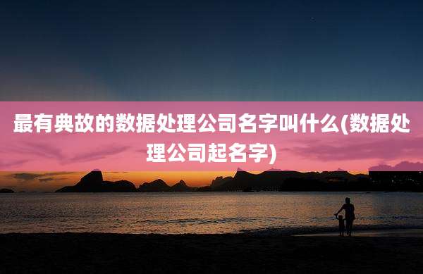 最有典故的数据处理公司名字叫什么(数据处理公司起名字)