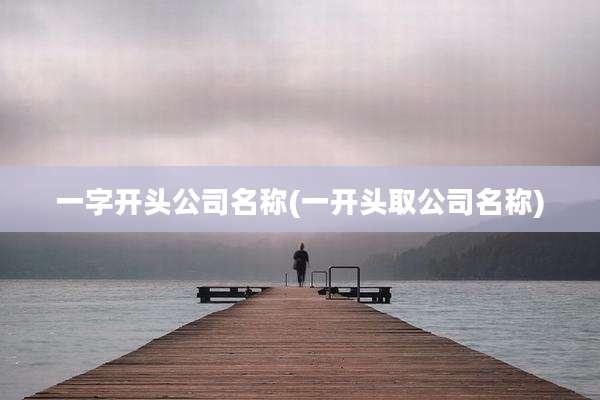 一字开头公司名称(一开头取公司名称)