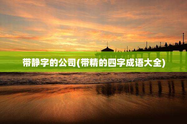 带静字的公司(带精的四字成语大全)