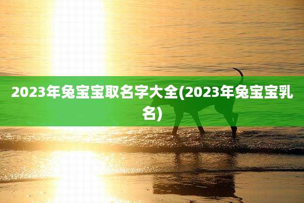 2023年兔宝宝取名字大全(2023年兔宝宝乳名)
