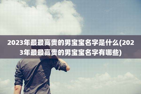 2023年最最高贵的男宝宝名字是什么(2023年最最高贵的男宝宝名字有哪些)