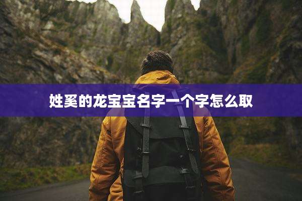 姓奚的龙宝宝名字一个字怎么取