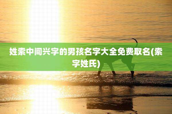 姓索中间兴字的男孩名字大全免费取名(索字姓氏)