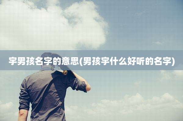 宇男孩名字的意思(男孩宇什么好听的名字)