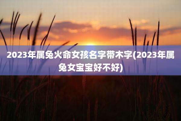 2023年属兔火命女孩名字带木字(2023年属兔女宝宝好不好)