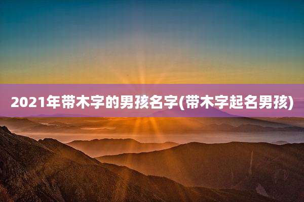 2021年带木字的男孩名字(带木字起名男孩)