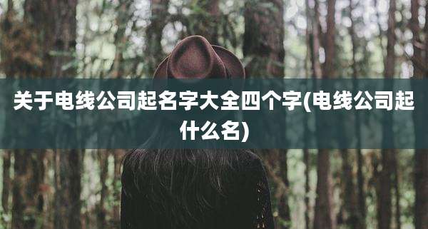 关于电线公司起名字大全四个字(电线公司起什么名)