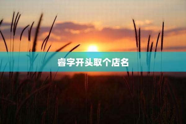 睿字开头取个店名