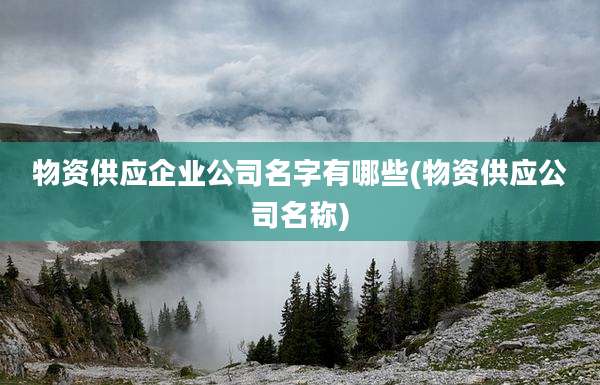 物资供应企业公司名字有哪些(物资供应公司名称)