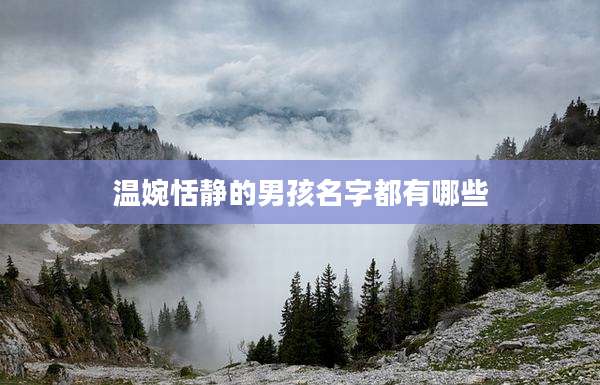 温婉恬静的男孩名字都有哪些
