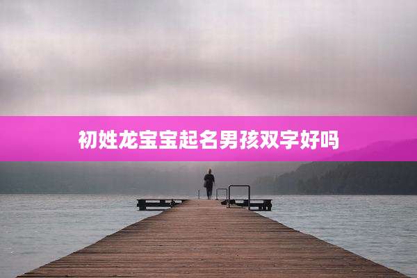 初姓龙宝宝起名男孩双字好吗
