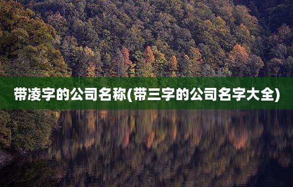 带凌字的公司名称(带三字的公司名字大全)