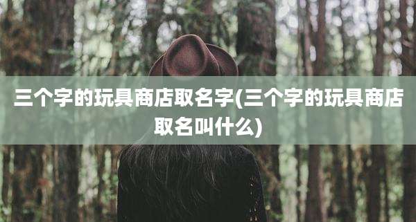 三个字的玩具商店取名字(三个字的玩具商店取名叫什么)