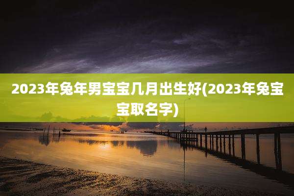 2023年兔年男宝宝几月出生好(2023年兔宝宝取名字)