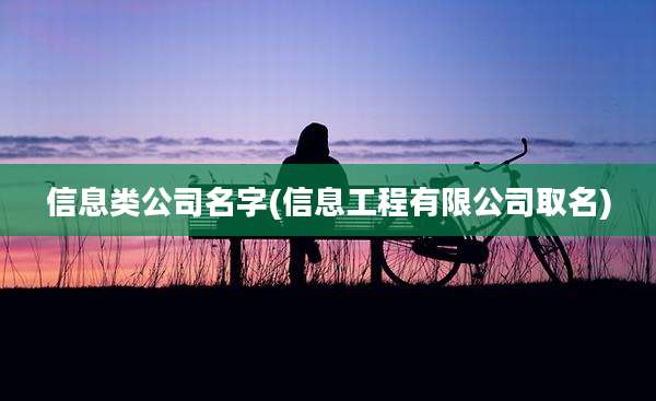 信息类公司名字(信息工程有限公司取名)