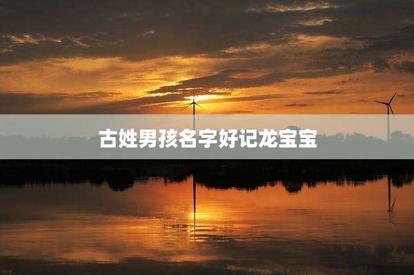 古姓男孩名字好记龙宝宝