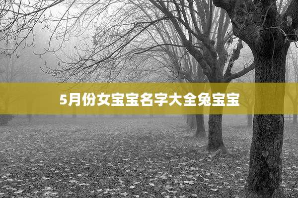 5月份女宝宝名字大全兔宝宝