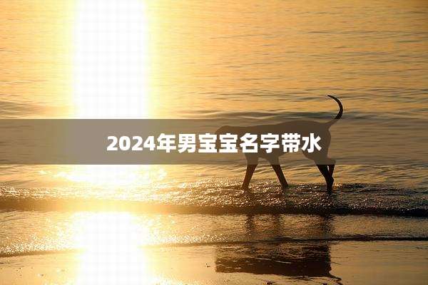 2024年男宝宝名字带水