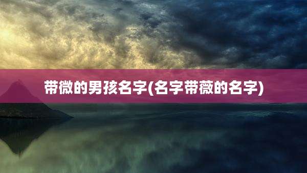 带微的男孩名字(名字带薇的名字)