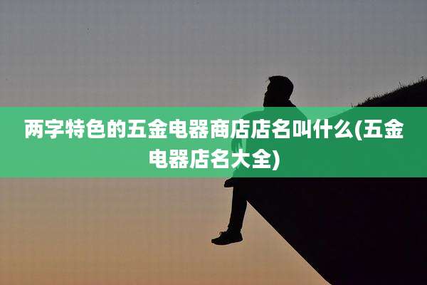 两字特色的五金电器商店店名叫什么(五金电器店名大全)
