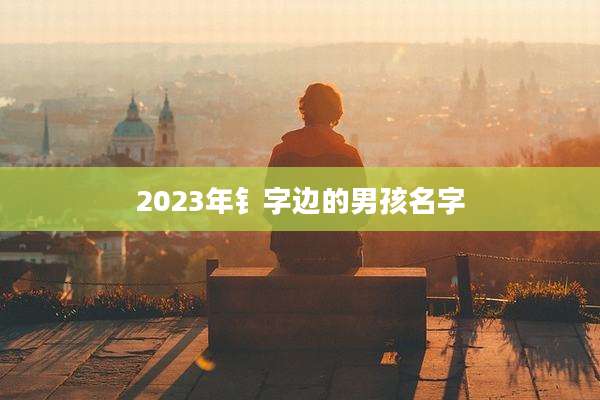 2023年钅字边的男孩名字