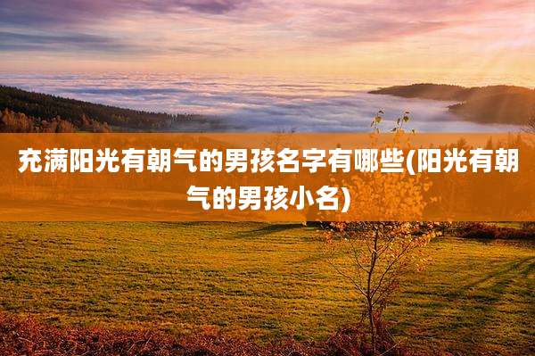 充满阳光有朝气的男孩名字有哪些(阳光有朝气的男孩小名)