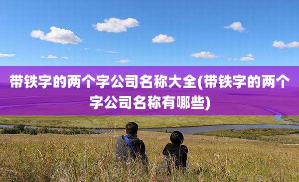 带铁字的两个字公司名称大全(带铁字的两个字公司名称有哪些)