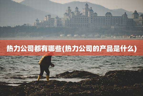 热力公司都有哪些(热力公司的产品是什么)