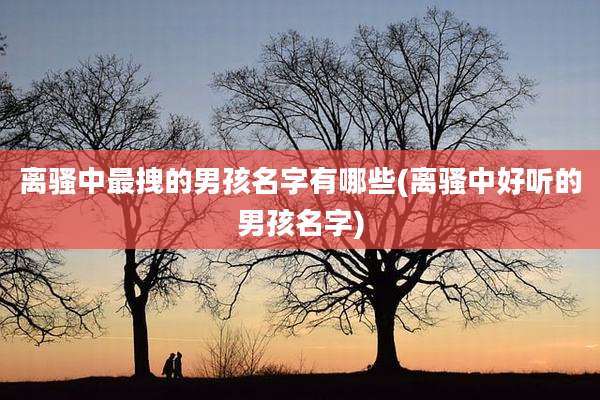 离骚中最拽的男孩名字有哪些(离骚中好听的男孩名字)