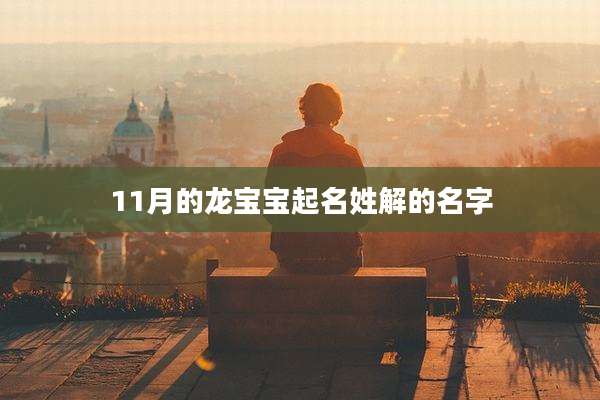 11月的龙宝宝起名姓解的名字
