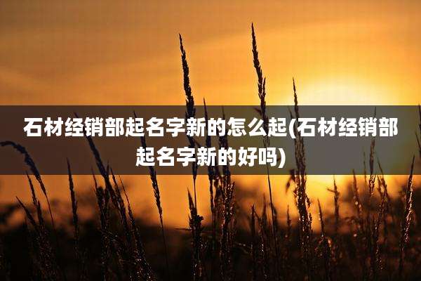 石材经销部起名字新的怎么起(石材经销部起名字新的好吗)