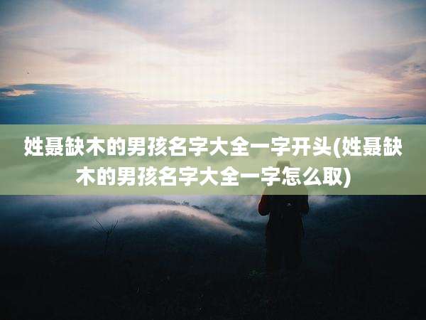 姓聂缺木的男孩名字大全一字开头(姓聂缺木的男孩名字大全一字怎么取)