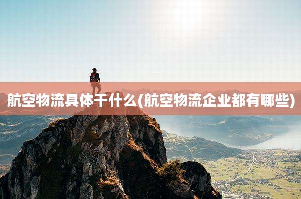 航空物流具体干什么(航空物流企业都有哪些)
