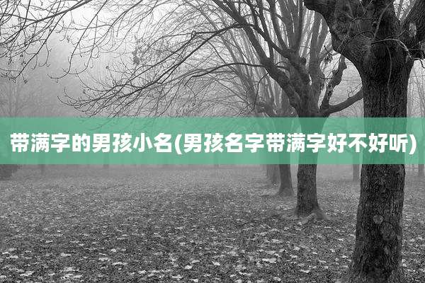 带满字的男孩小名(男孩名字带满字好不好听)