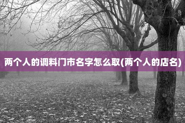 两个人的调料门市名字怎么取(两个人的店名)
