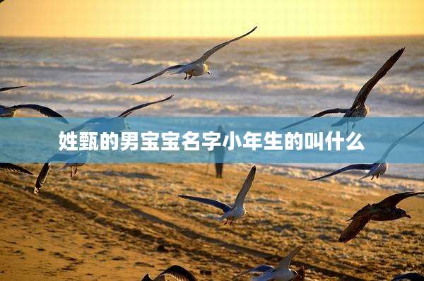 姓甄的男宝宝名字小年生的叫什么
