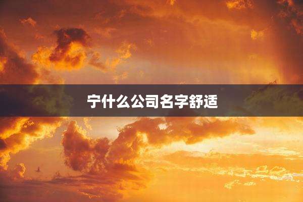 宁什么公司名字舒适