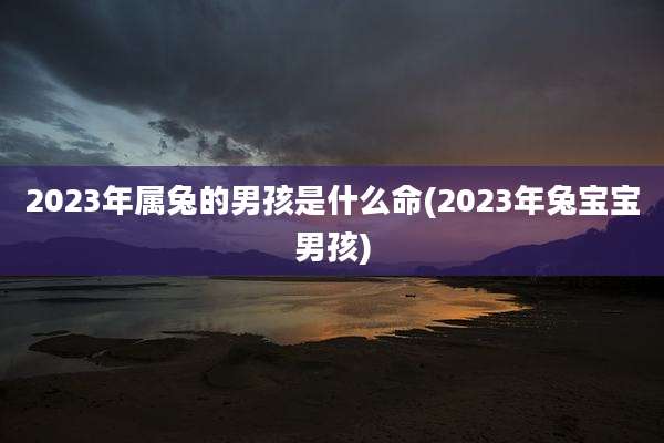 2023年属兔的男孩是什么命(2023年兔宝宝男孩)