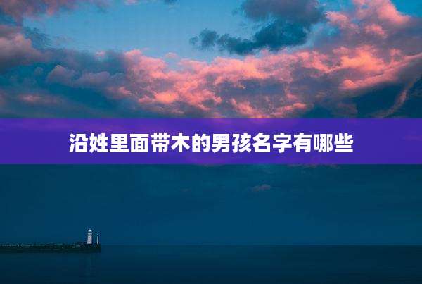 沿姓里面带木的男孩名字有哪些