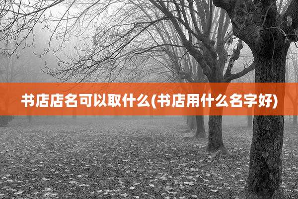 书店店名可以取什么(书店用什么名字好)