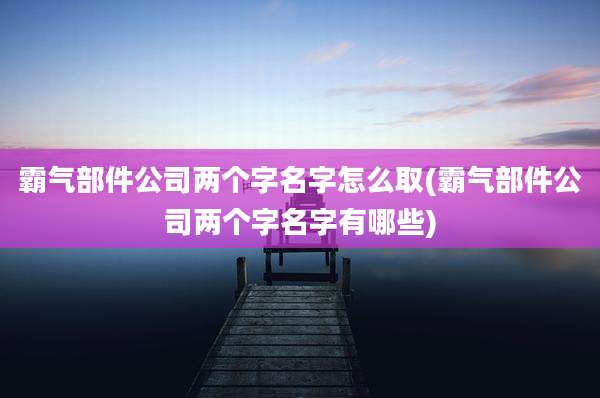 霸气部件公司两个字名字怎么取(霸气部件公司两个字名字有哪些)
