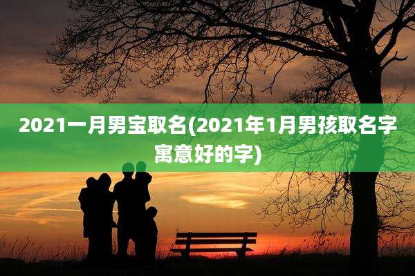 2021一月男宝取名(2021年1月男孩取名字寓意好的字)