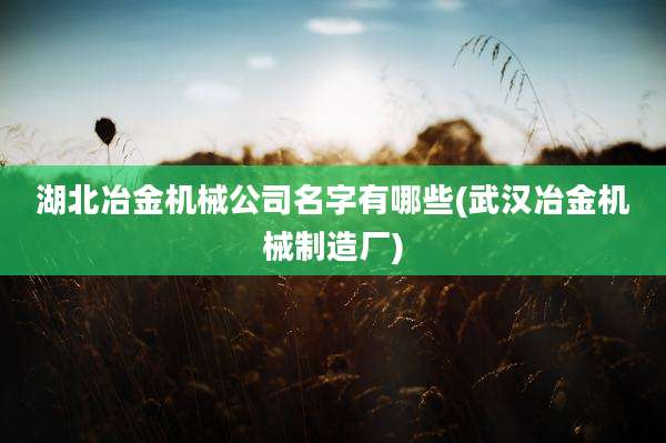 湖北冶金机械公司名字有哪些(武汉冶金机械制造厂)