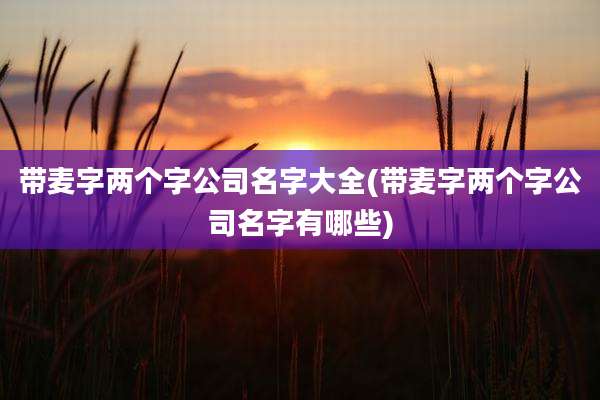 带麦字两个字公司名字大全(带麦字两个字公司名字有哪些)